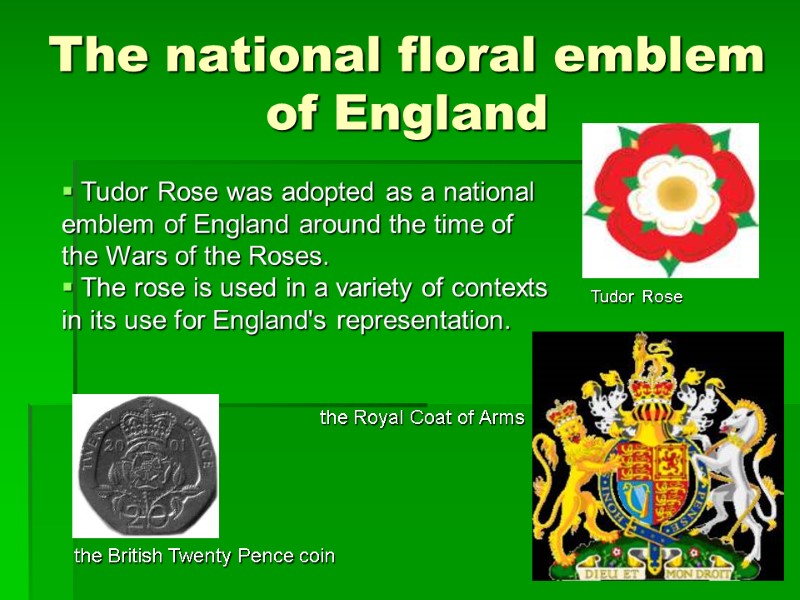 The national floral emblem of England   Tudor Rose was adopted as a